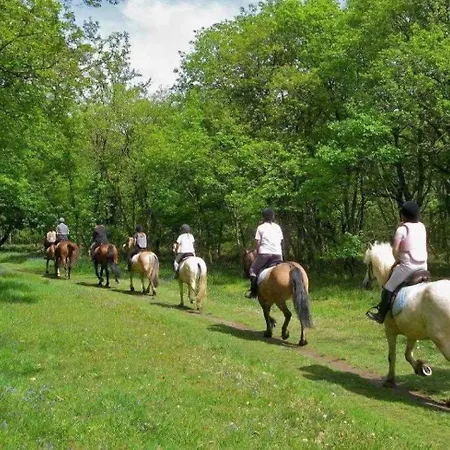 4 étoiles - Piscine - Eeecic Chalet *