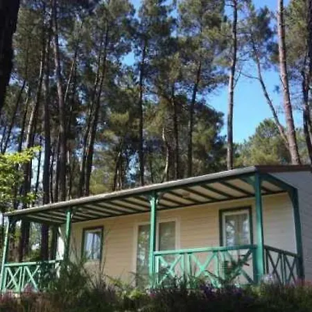 4 Etoiles - Piscine - Eeecic Chalet *