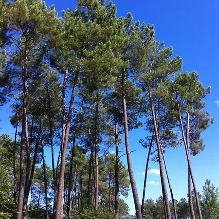 Chalet 4 étoiles - Piscine - Eeecic *