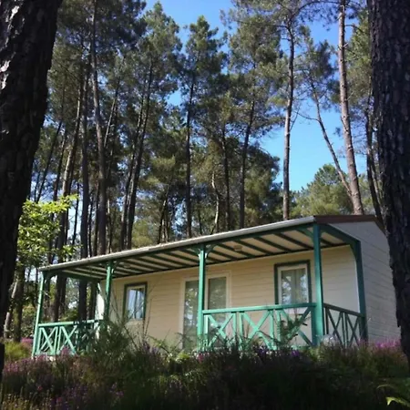 4 Etoiles - Piscine - Eeecic *