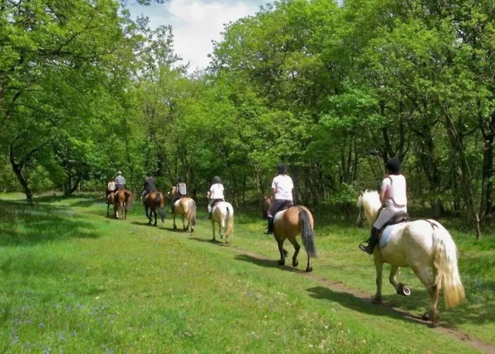 4 Etoiles - Piscine - Eeecic *