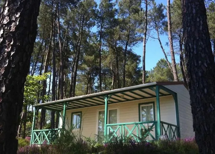 شاليه 4 Etoiles - Piscine - Eeecic