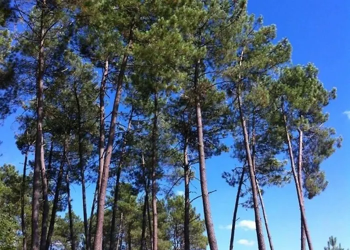 شاليه 4 Etoiles - Piscine - Eeecic *