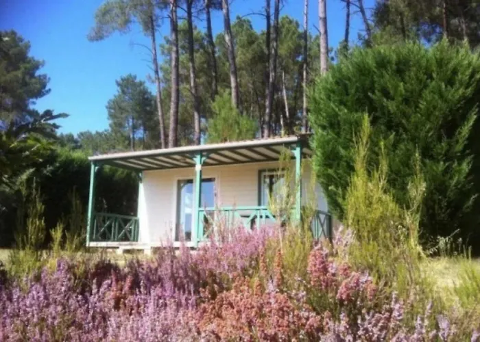 4 Etoiles - Piscine - Eeecic *