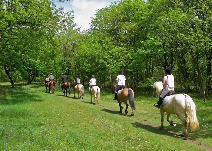 4 Etoiles - Piscine - Eeecic *