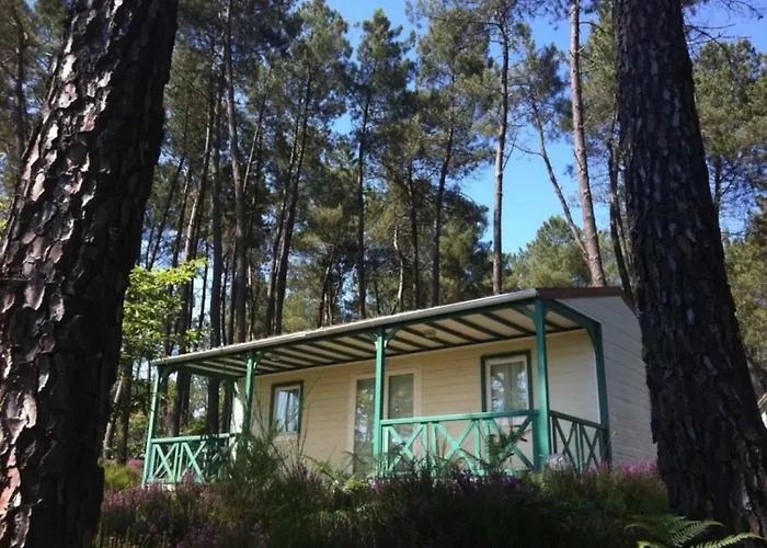 4 Etoiles - Piscine - Eeecic *